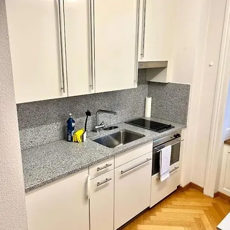 Apartmán Large Flats, Center - Schd Curych